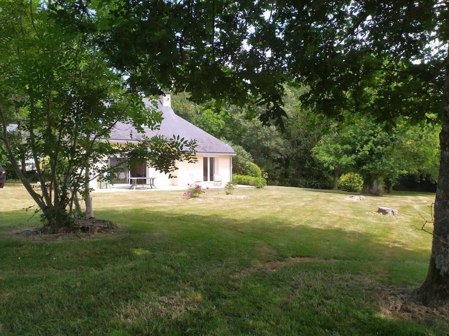Willa Maison 6Pers, Proche Ocean Et Plages, Moelan Sur Mer Zewnętrze zdjęcie